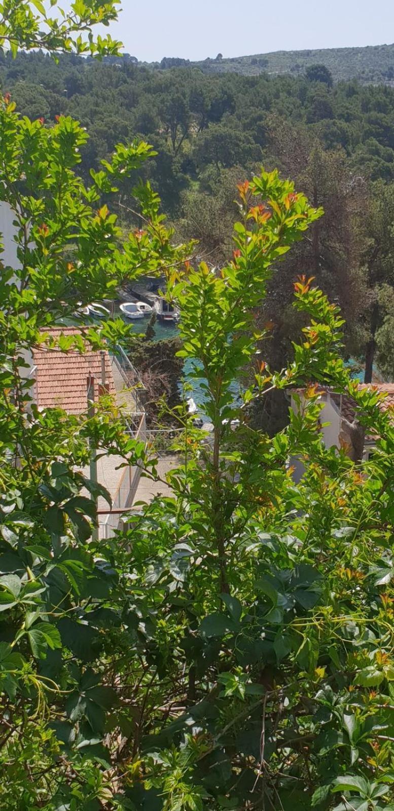 Apartman Pobuk Primosten Exterior photo